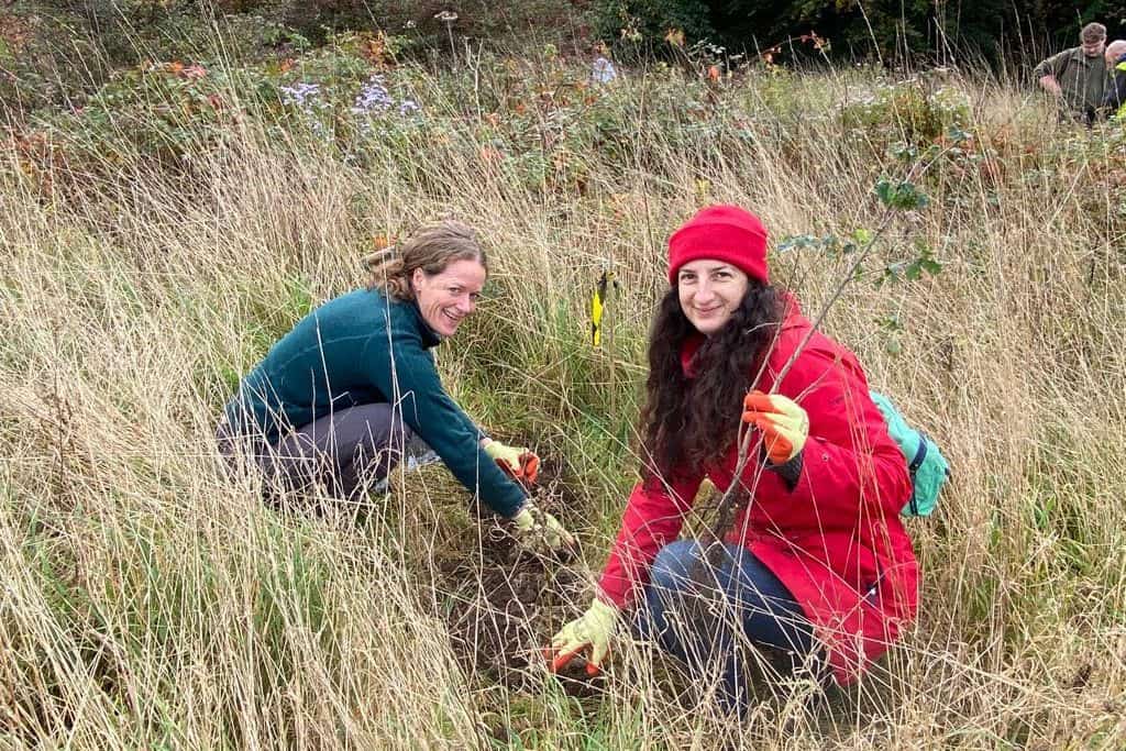 Community Ownership Hub - two people planting trees in long grass
